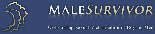 Male Survivor: Overcoming Sexual Victimization of Boys & Men